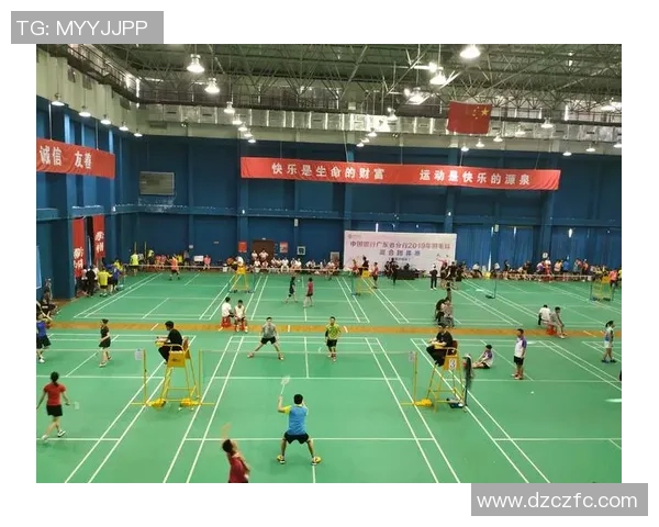 杭州羽毛球队转型之路的挑战与机遇全景揭秘