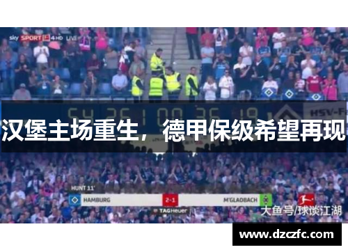 汉堡主场重生，德甲保级希望再现